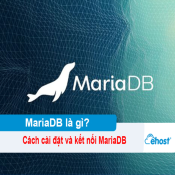 [2025] MariaDB là gì? Cách cài đặt và kết nối MariaDB