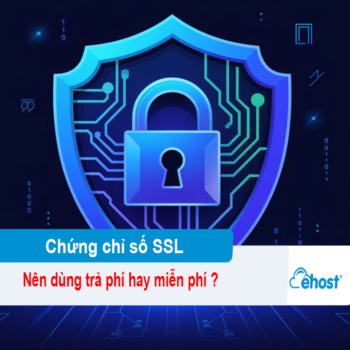 [2025] SSL miễn phí và trả phí - Đâu là lựa chọn thông minh?