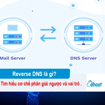 [2025] Reverse DNS là gì? Tìm hiểu cơ chế phân giải ngược và vai trò trong hệ thống mạng