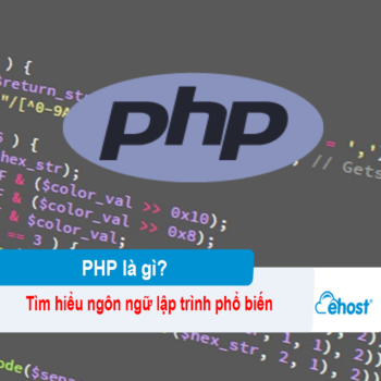 [2025]PHP là gì? Tìm hiểu ngôn ngữ lập trình phổ biến nhất cho web