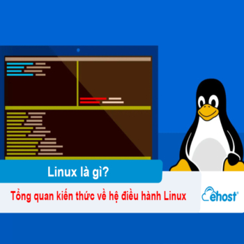 [2026] Linux là gì? Tổng quan kiến thức về hệ điều hành Linux