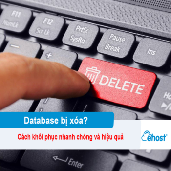 [2026] Hướng dẫn cách khôi phục Database bị xóa nhanh chóng và hiệu quả